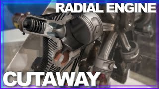 INSIDE LOOK How a Radial Engine Works AMAZING Cutaway in Motion [upl. by Louisa94]