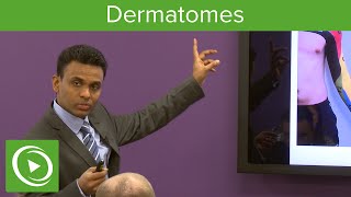 Dermatomes Overview – MRCS  Lecturio [upl. by Ardrey]