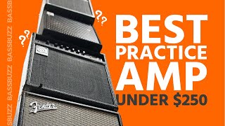 Best Beginner Bass Amp Group Review [upl. by Nalloh]