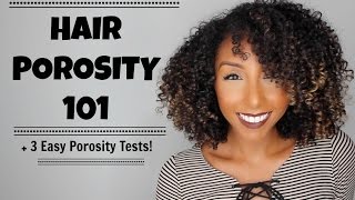 Hair Porosity 101 amp 3 Easy Hair Porosity Tests  BiancaReneeToday [upl. by Saimerej]