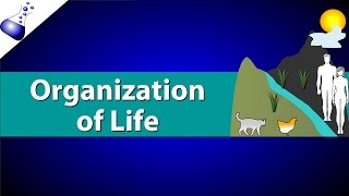 Organization of Life [upl. by Photina]