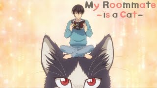 My Roommate is a Cat  Opening  Unknown World [upl. by Mlawsky843]