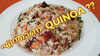 What is Quinoa  Benefits of Quinoa  Quinoa Uppma  Intermittent Fasting  Weight Loss Recipe [upl. by Ashbaugh]