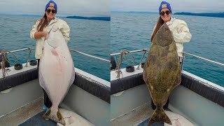 MASSIVE Halibuts Alaska Fishing Catch Clean amp Cook [upl. by Ezirtaeb]