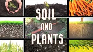 All About soil [upl. by Lejna]