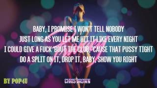 Chris Brown  Privacy Lyrics [upl. by Sirahs]