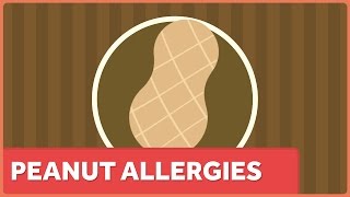 The Facts about Peanut Allergies Might Surprise You [upl. by Eyssej403]