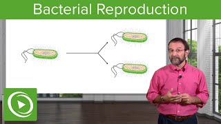 Bacterial Reproduction Heterotrophy amp Autotrophy – Microbiology  Lecturio [upl. by Naivat]