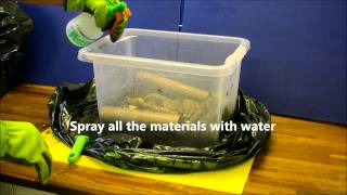 How to setup a Woodlice Colony [upl. by Wack]