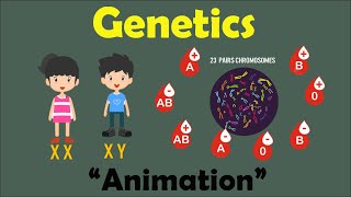 GENETICS  Biology Animation [upl. by Marriott]