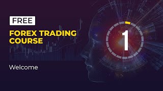 The Best Forex Trading for Beginners Course  Lesson 1 [upl. by Griselda229]