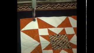 Quiltmagine  Nolting Longarm Computer Guided Quilting [upl. by Pacificia318]