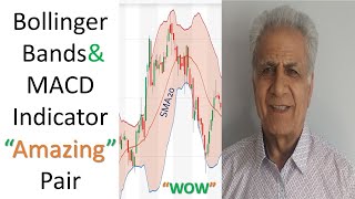 Bollinger Bands and MACD Combined Profitable Trading Power [upl. by Eugenides198]