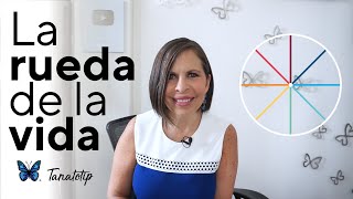 La Rueda de la Vida  Tanatotip  Gaby Tanatóloga [upl. by Attegroeg]