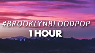 Syko  BrooklynBloodPop 1 HOUR [upl. by Nnair]