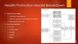 Nola Pender Health Promotion Model [upl. by Rehptosirhc]