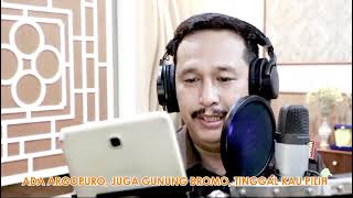 Lagu Kabupaten Probolinggo Istimewa [upl. by Rednaeel]