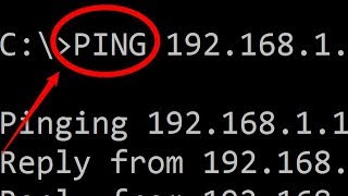 Simple PING commands [upl. by Nylidnarb275]