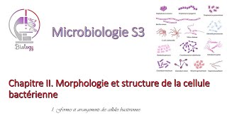 Chapitre II Morphologie et structure de la cellule bactérienne 1 [upl. by Orimar122]