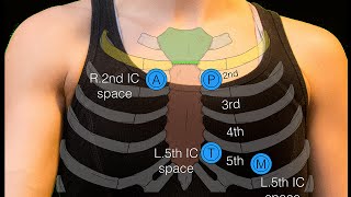 Sternal angle [upl. by Llenal428]