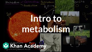 Introduction to metabolism anabolism and catabolism  Khan Academy [upl. by Beckman]