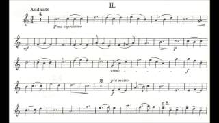 Küchler Ferdinand opus 11 for violin  piano [upl. by Nahguav]