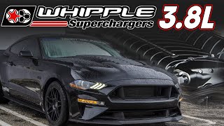 38L WHIPPLE SUPERCHARGED Mustang Puts Down 1300hp  PLUS Whipple 2020 GT500 News [upl. by Parrott373]