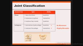 Joint Classification [upl. by Oinesra]