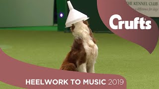 Freestyle International Heelwork to Music  Part 1  Crufts 2019 [upl. by Daile454]