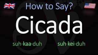 How to Pronounce Cicada British Vs American Pronunciation  Spanish [upl. by Corinne682]