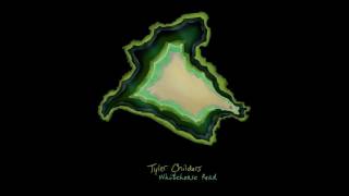 Tyler Childers  Whitehouse Road Official Audio [upl. by Tat]