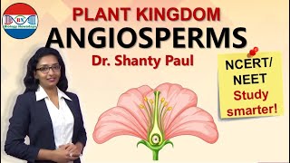 Angiosperms  Plant kingdom [upl. by Rosalynd637]