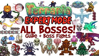 Terraria All Bosses In Order Expert Mode Guide amp Fights Easiest to Hardest How to Spawn Them [upl. by Ahsiemal]