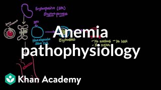 Anemia pathophysiology  Hematologic System Diseases  NCLEXRN  Khan Academy [upl. by Esilana445]