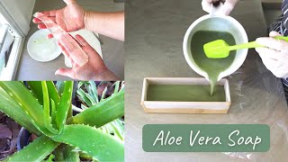 Making Cold Process Aloe Vera Soap  Harvesting the Leaves and Gel  Full Soap Making Recipe [upl. by Enirahtak]