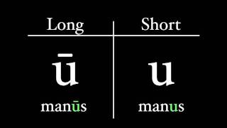 The Latin Alphabet  Vowel Pronunciation [upl. by Orvah]