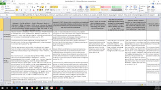 How to Create a Literature Matrix Excel [upl. by Giana]