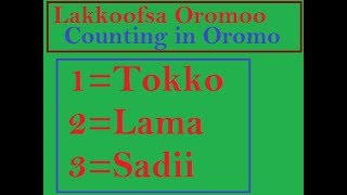 Counting in Oromo Language [upl. by Sillyrama]