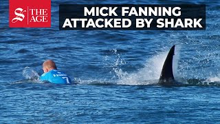 Surfer Mick Fanning attacked by shark [upl. by Nnor]