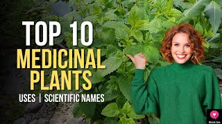 Top 10 Medicinal Plants And Their Uses  Scientific Names  Medicinal Plants You Can Grow At Home [upl. by Bowles727]