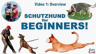 Online Schutzhund Training For Beginners Overview [upl. by Previdi403]