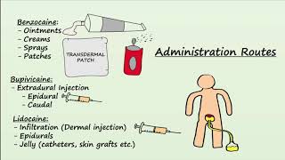 Local Anesthetics  Mechanism Indications amp Side Effects [upl. by Keheley]