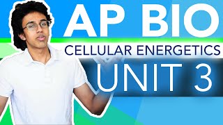 AP Biology Unit 3 Crash Course Cellular Energetics [upl. by Otsirc]