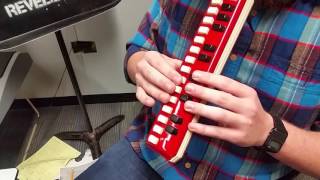 How to Play the Melodica [upl. by Nrol]