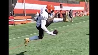 Odell Beckham Jr onehanded trick catch  Cleveland Browns [upl. by Frasch102]