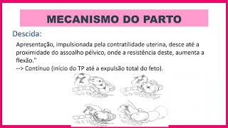 Mecanismos do parto [upl. by Jeremy433]