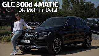 2019 MercedesBenz GLC 300d 4MATIC MoPf Fahrbericht  GIRLS REVIEW  Larissa testet  Autophorie [upl. by Teodorico]