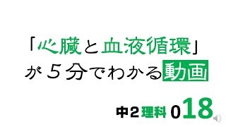 中2理科 心臓と血液循環 [upl. by Slaby]