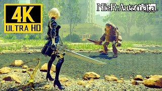 NieR Automata  4K Gameplay GTX 1080  4K ✔ [upl. by Vere514]