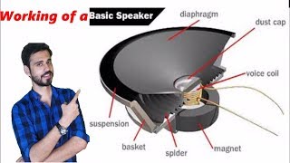 How does a Speaker Subwoofer Tweeter work [upl. by Lamee30]